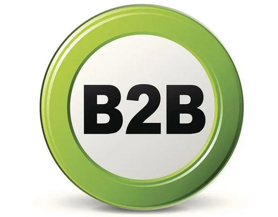 B2B独立站——外贸企业英文官网制作！